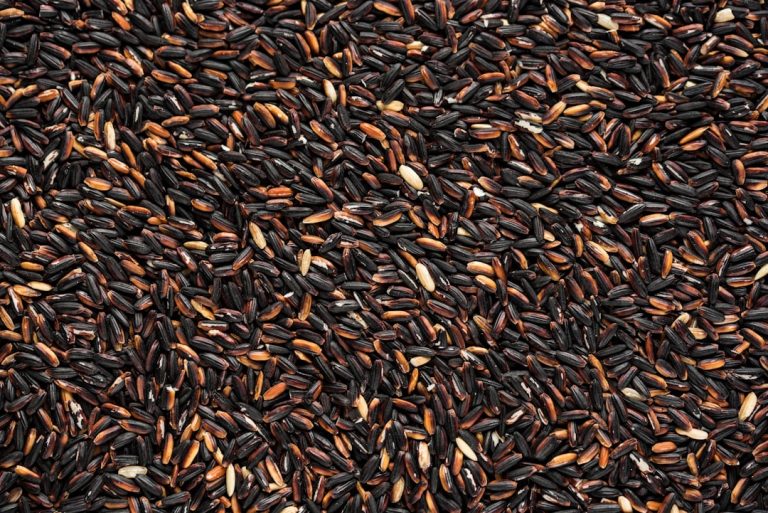Black Rice: Health Benefits